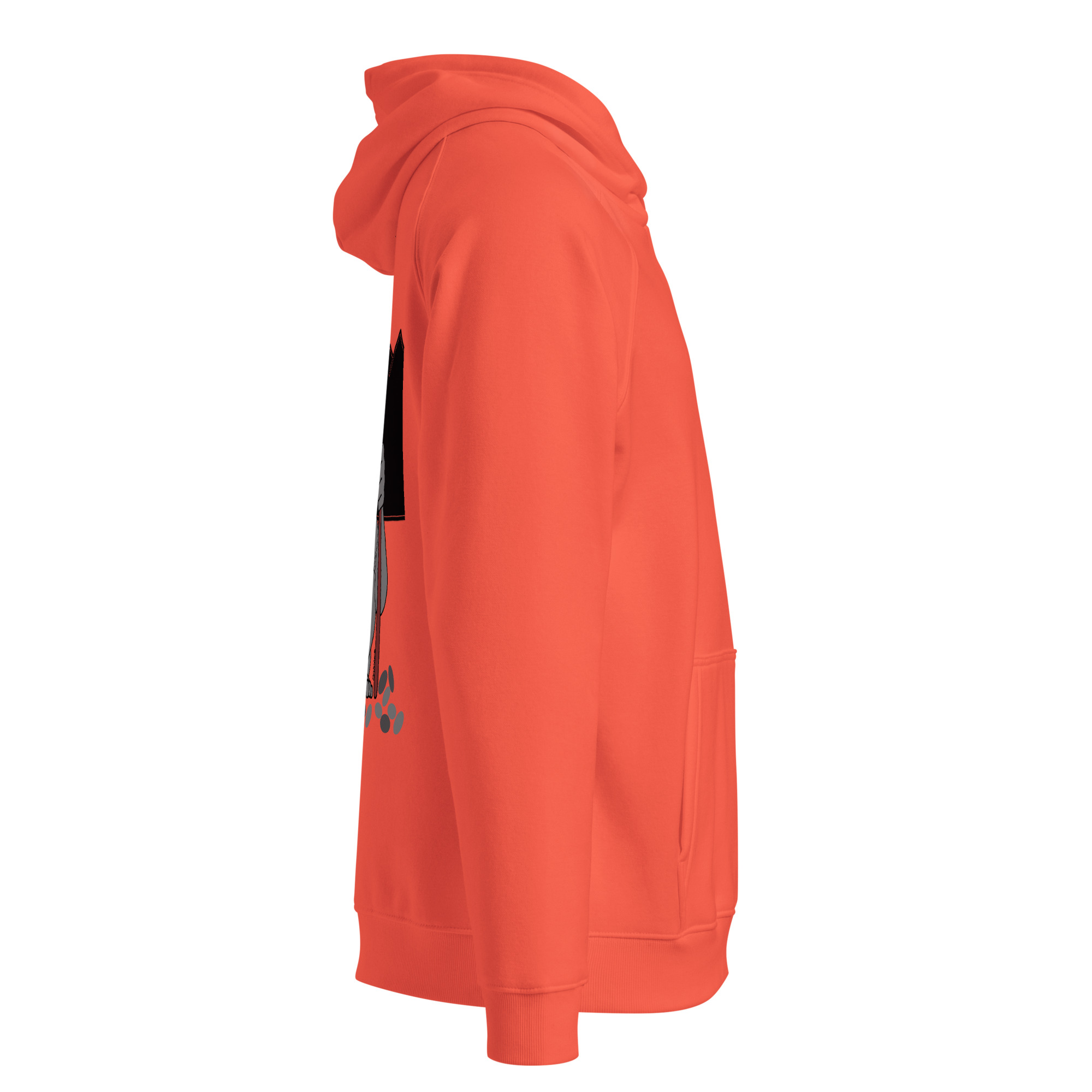 unisex-eco-raglan-hoodie-burnt-orange-right-686ca5d81f98e.jpg