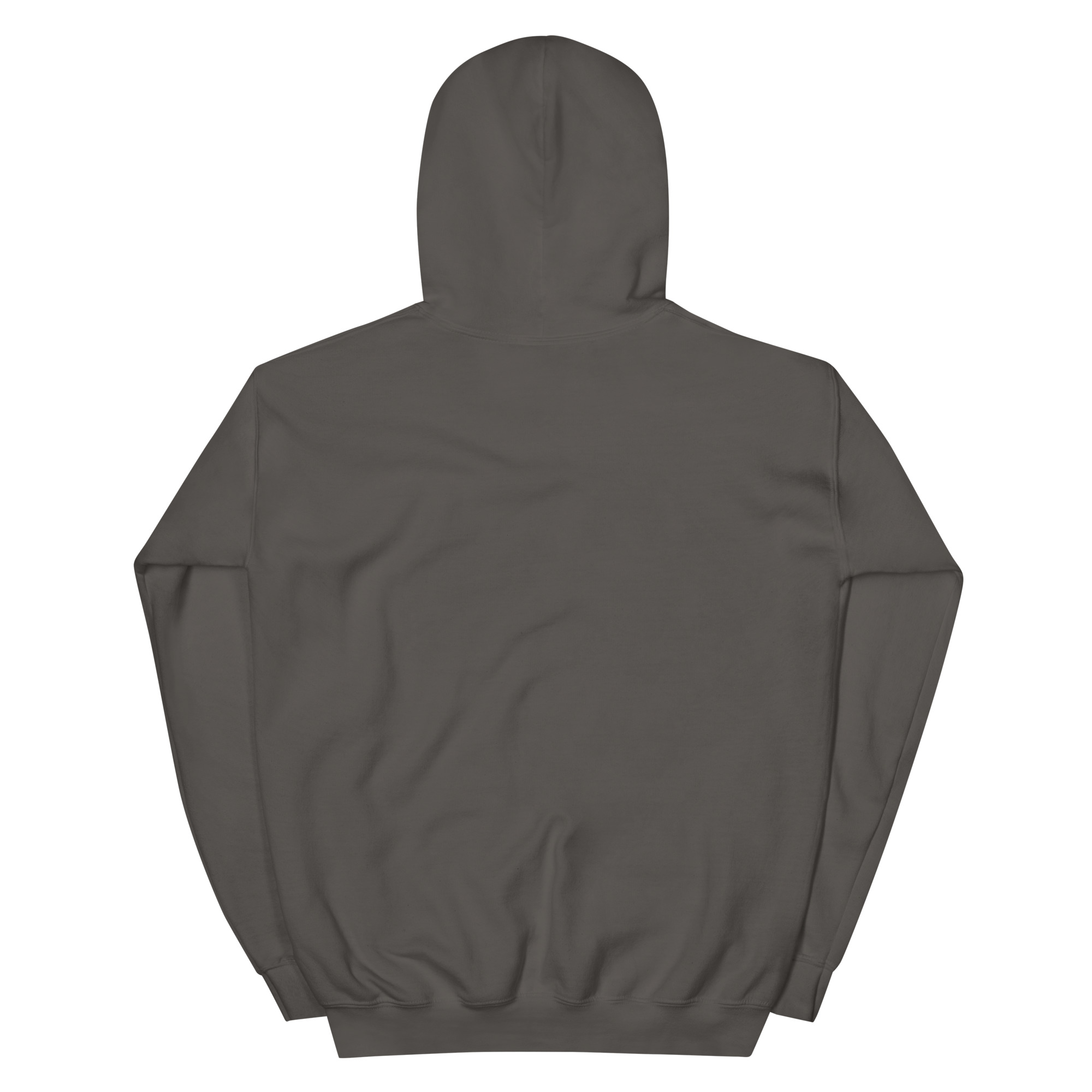 unisex-heavy-blend-hoodie-charcoal-back-686c97db696e3.jpg
