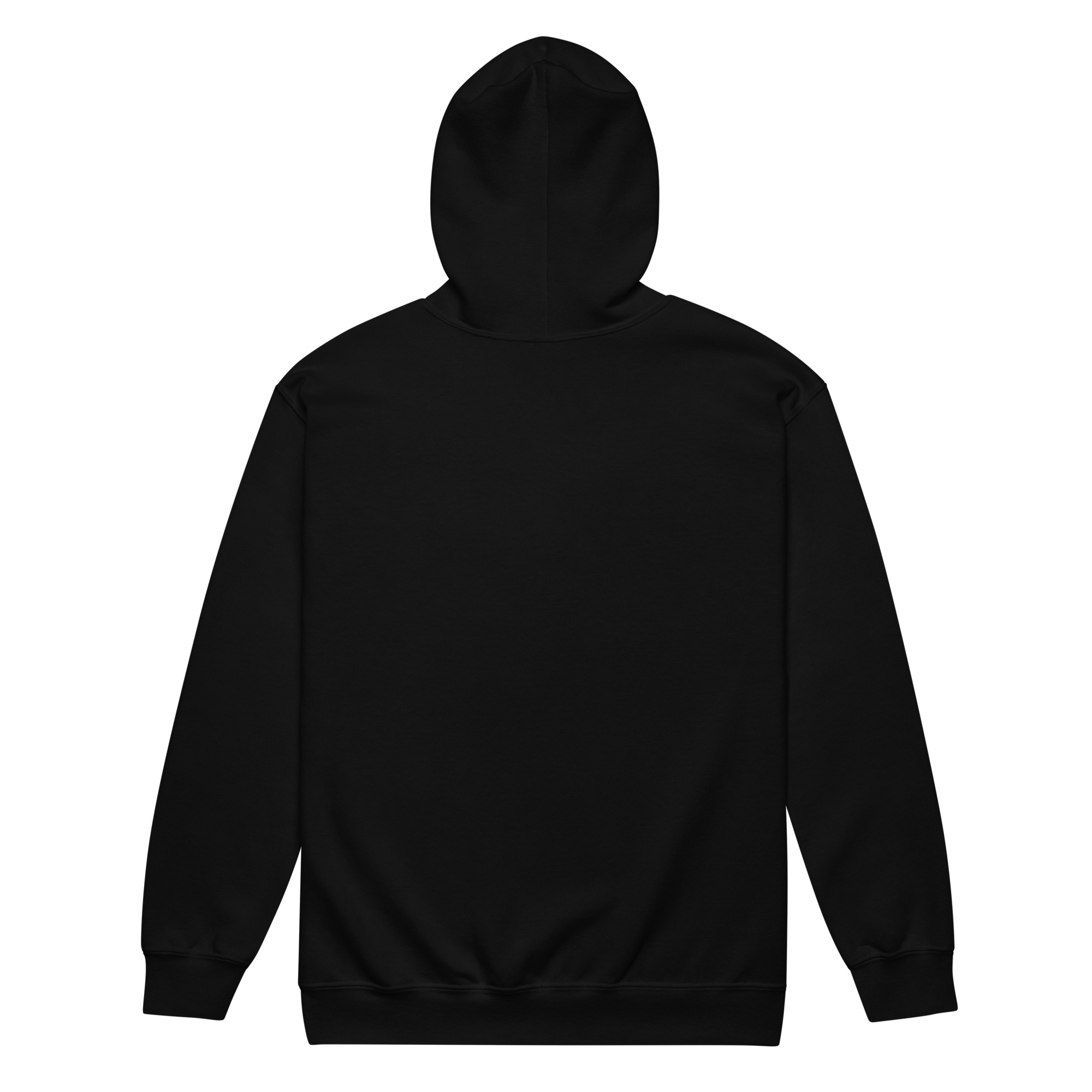 unisex-heavy-blend-zip-hoodie-black-back-686ca414c7307.jpg
