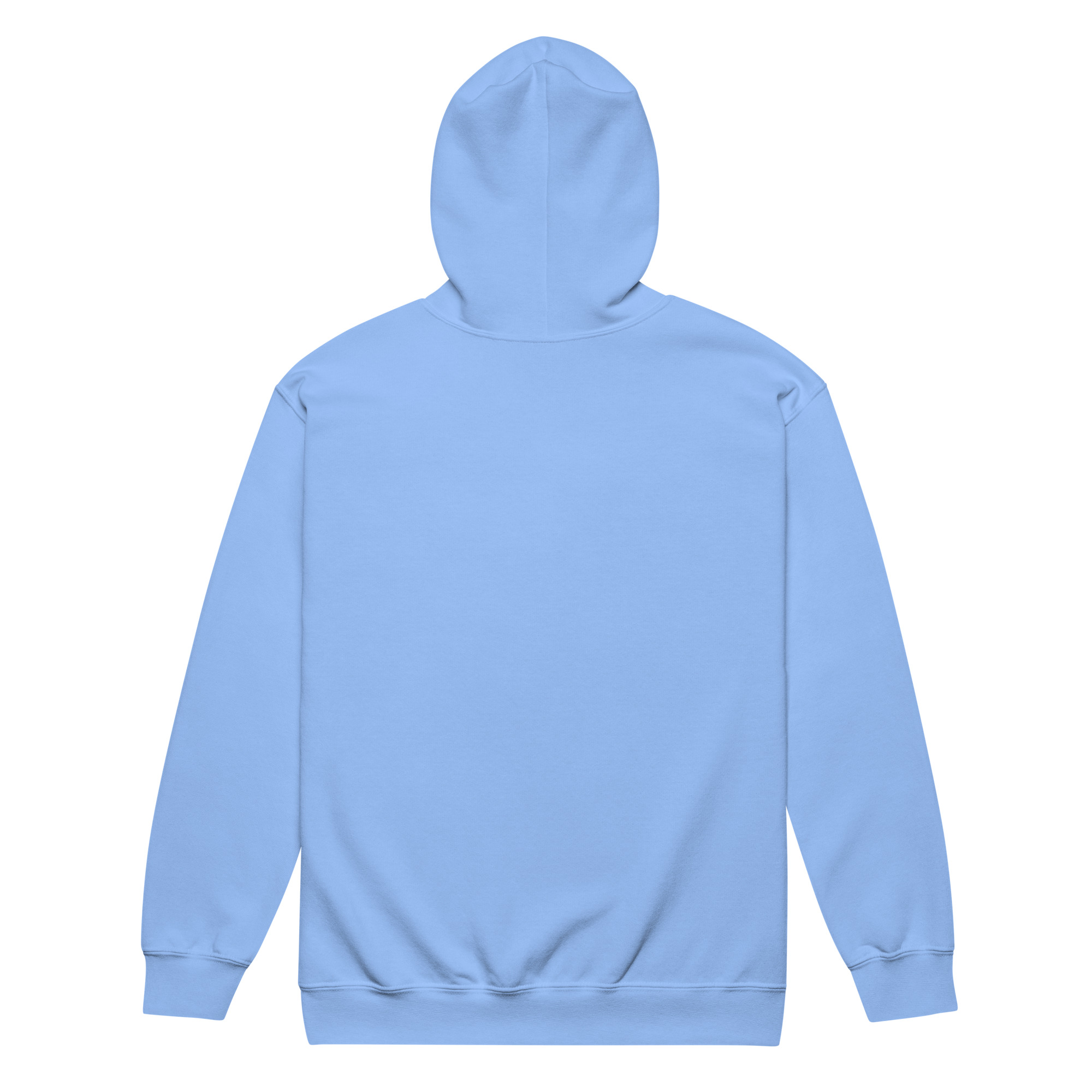 unisex-heavy-blend-zip-hoodie-carolina-blue-back-686ca414ca610.jpg