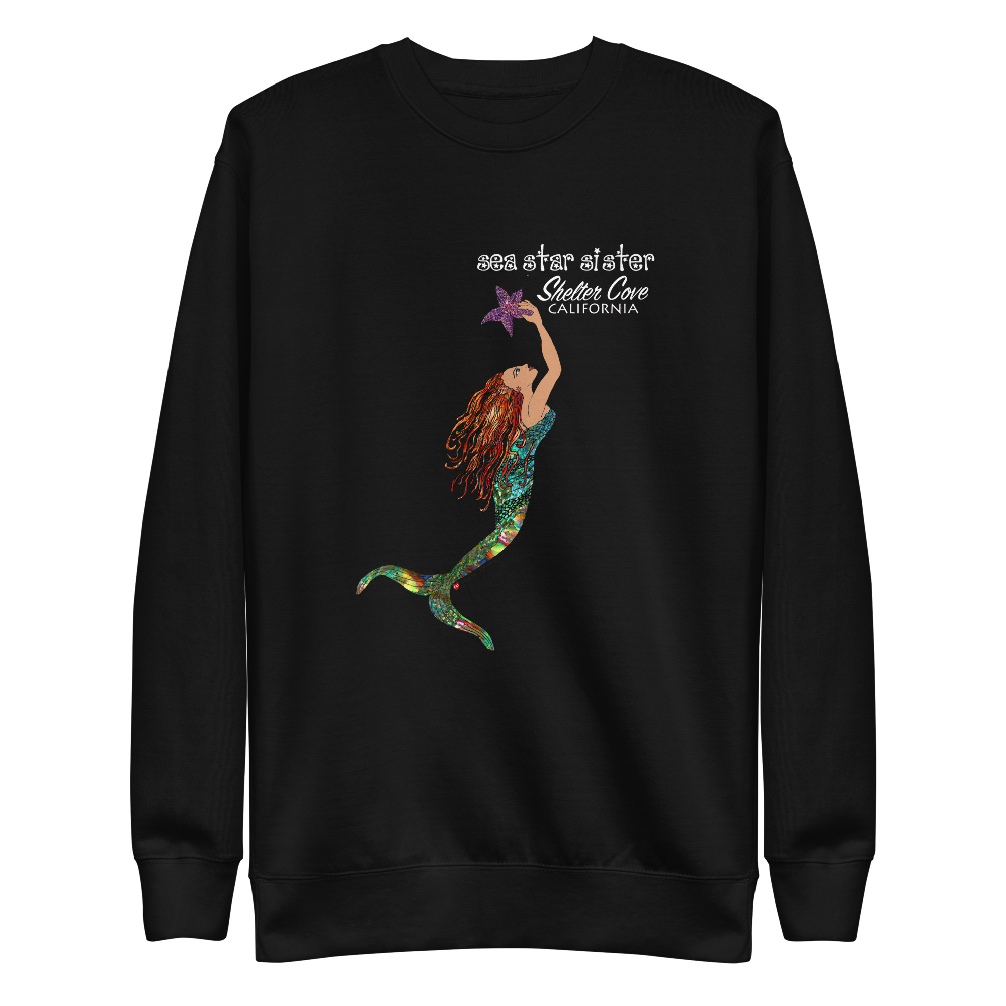 unisex-premium-sweatshirt-black-front-686c41d144ae8.jpg