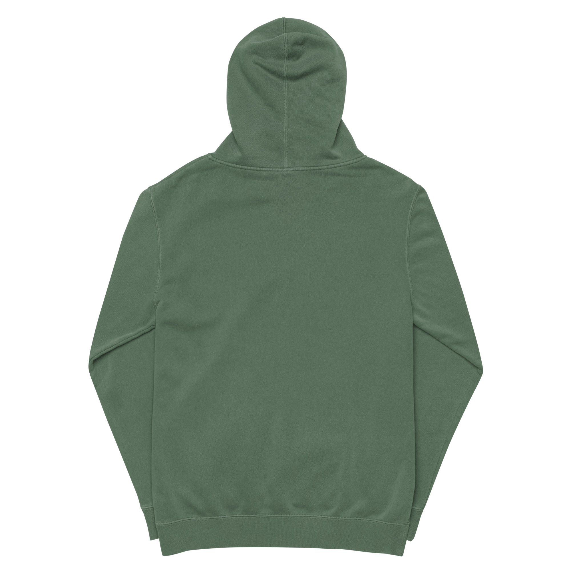 unisex-pigment-dyed-hoodie-pigment-alpine-green-back-68ccbe2e5547d.jpg