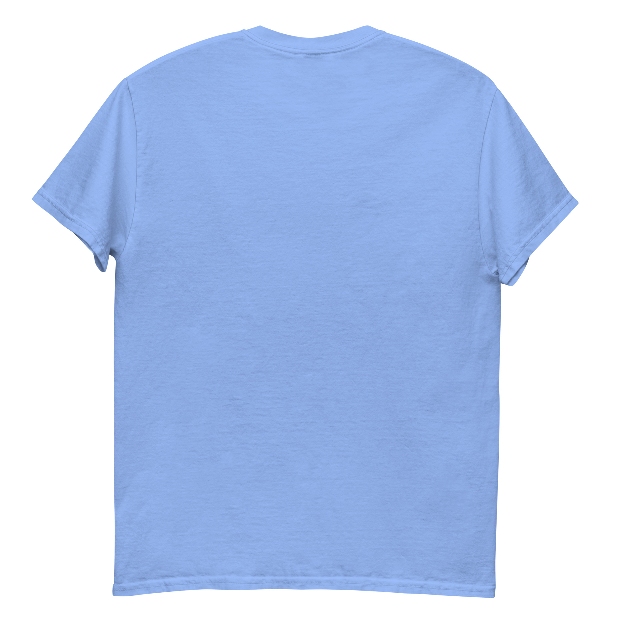 unisex-classic-tee-carolina-blue-back-69ae5c04aecb6.jpg
