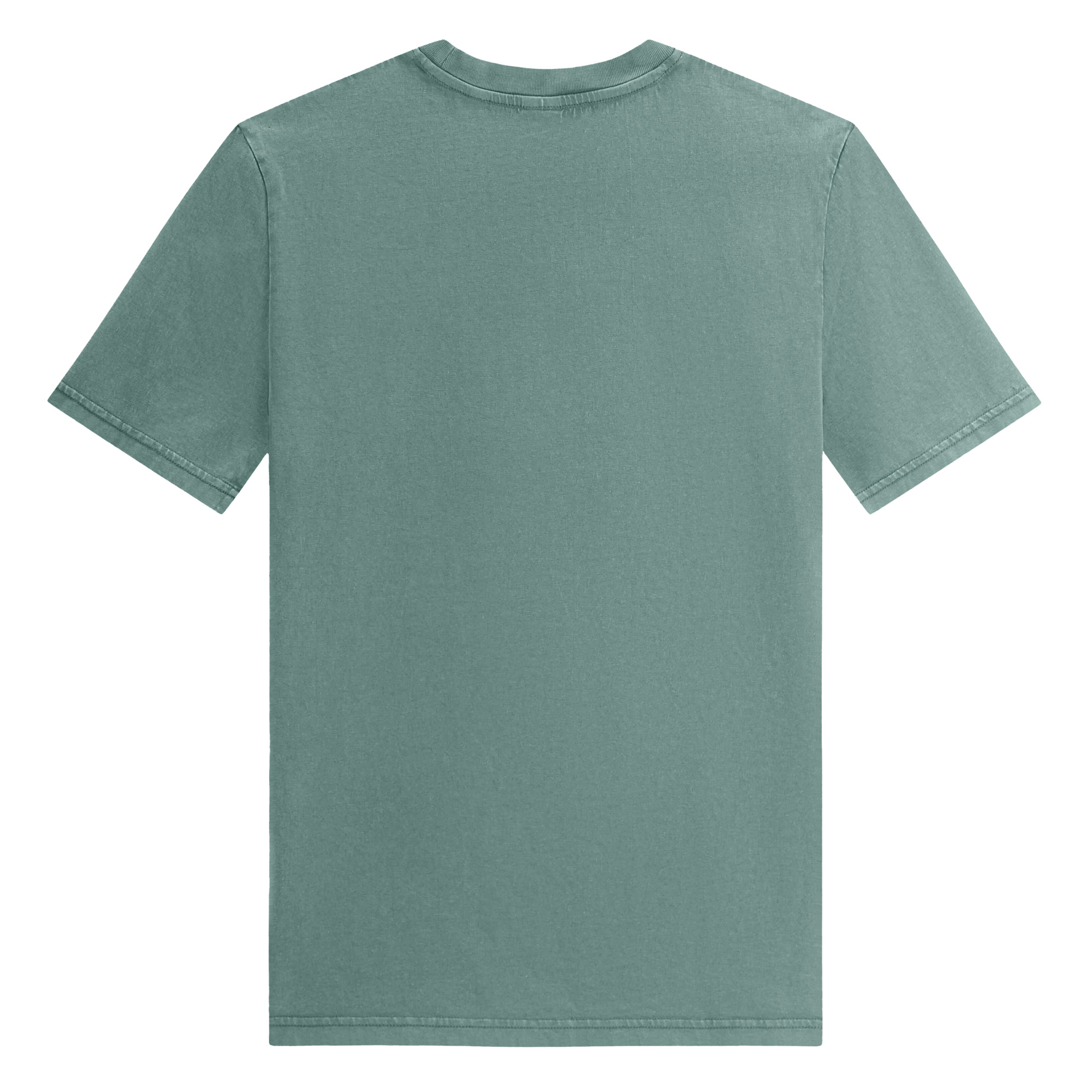 unisex-garment-dyed-creator-2.0-vintage-t-shirt-g.-dyed-green-bay-back-69a866b94fd86.jpg