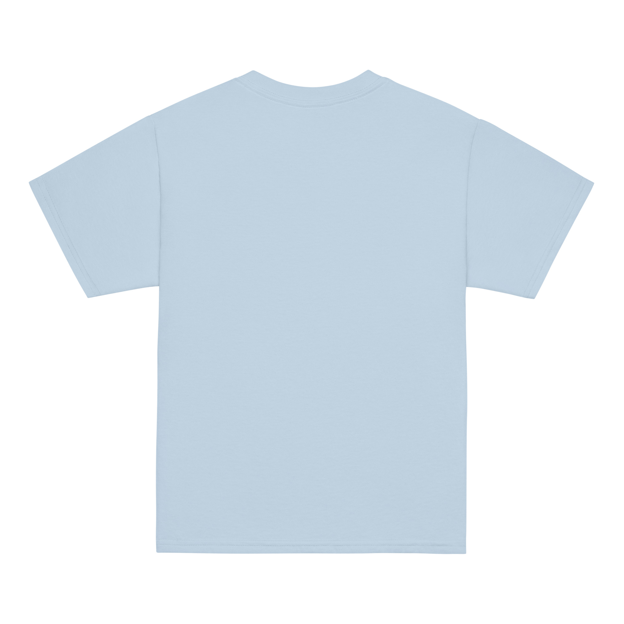 youth-classic-tee-light-blue-back-69cb3aeff2b84.jpg