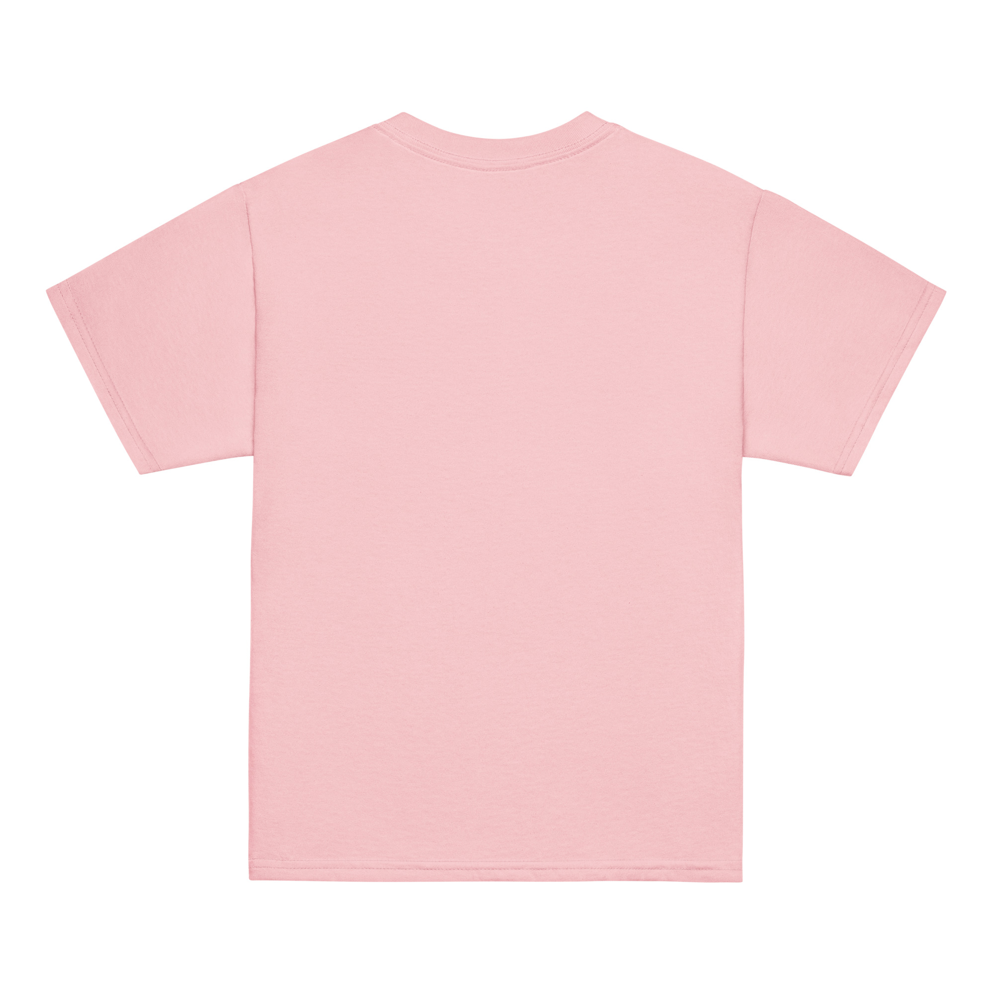 youth-classic-tee-light-pink-back-69cb3aeff3873.jpg