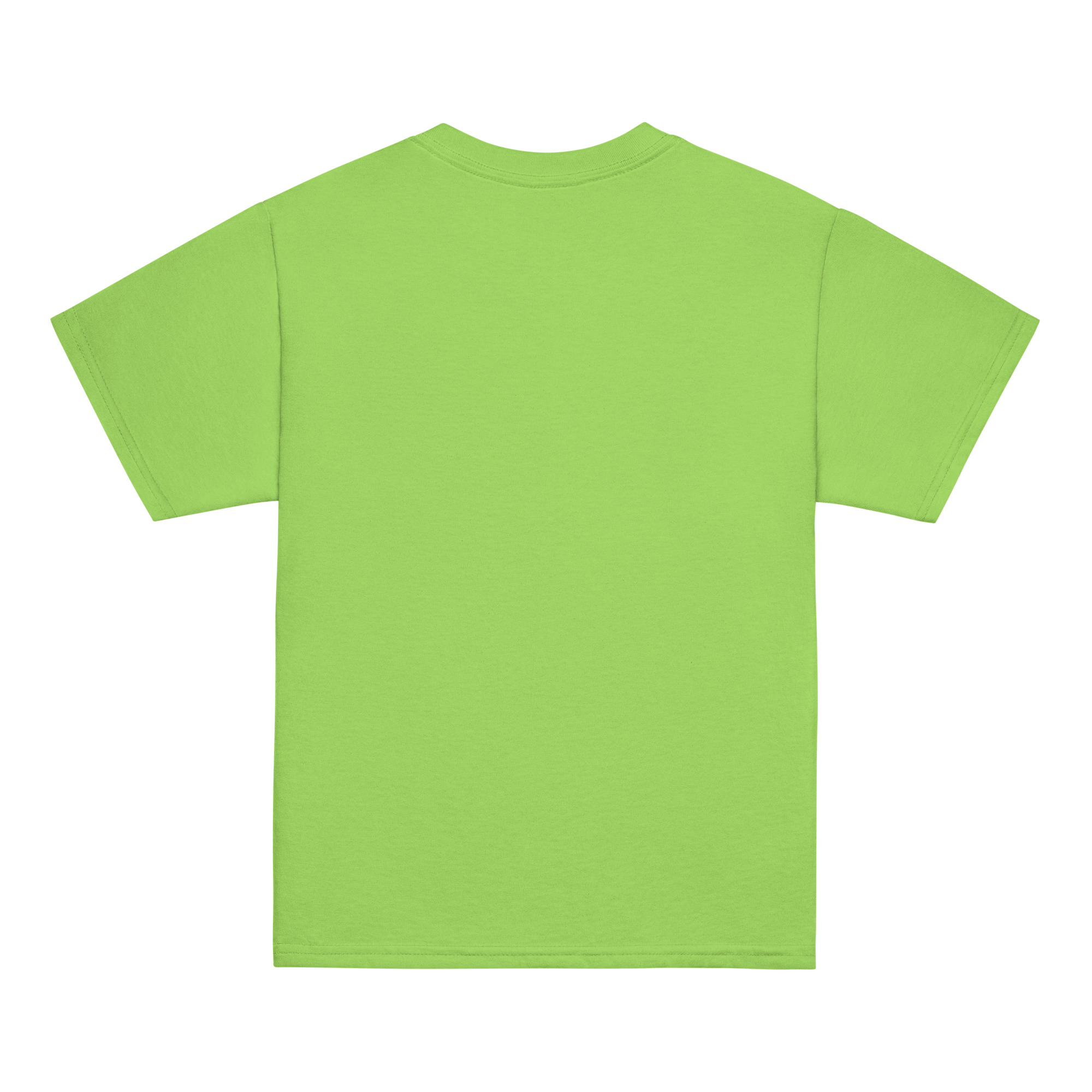 youth-classic-tee-lime-back-69cb3aeff18c1.jpg