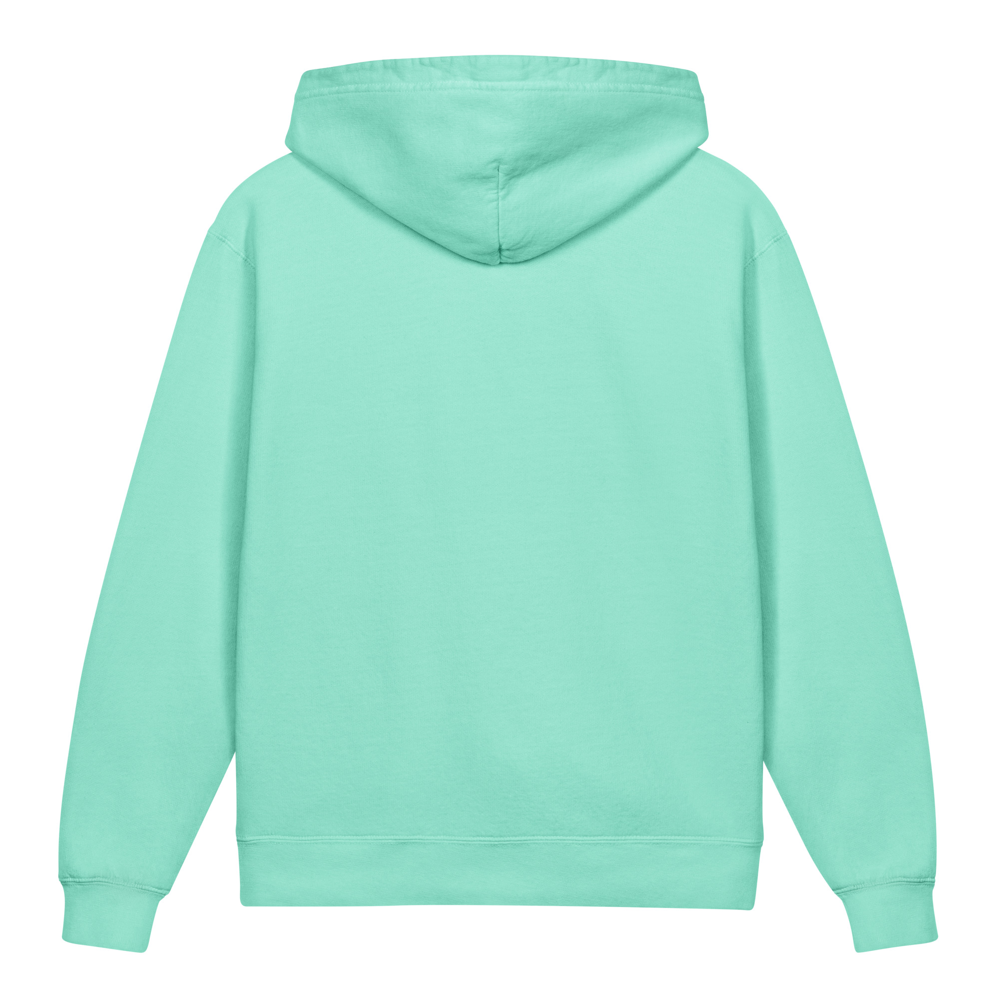 youth-garment-dyed-lightweight-hooded-sweatshirt-chalky-mint-back-69cb2ef034467.jpg